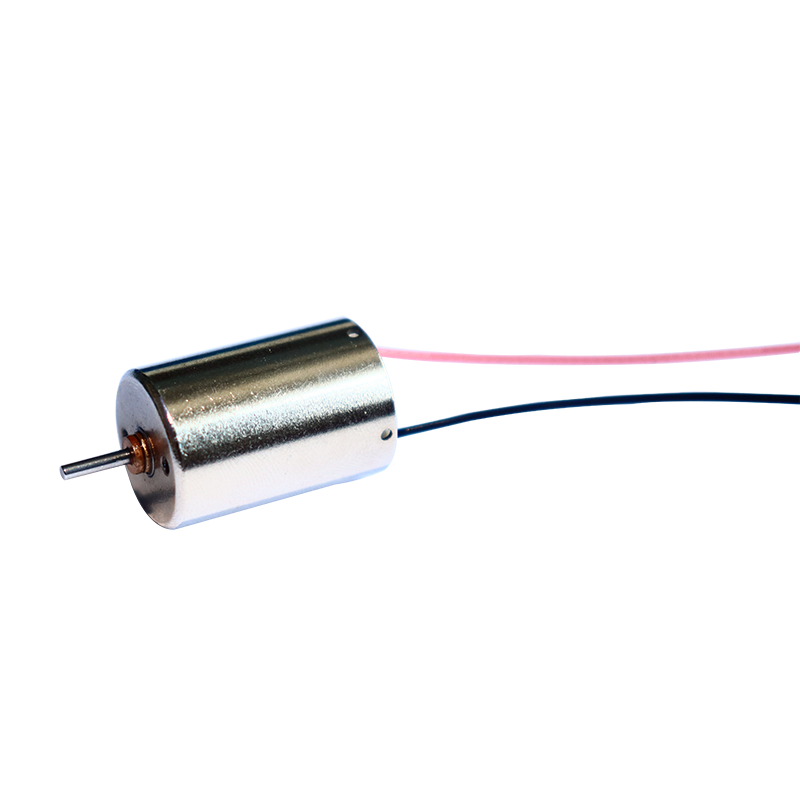 12mm Precious Metal Brush DC Motor