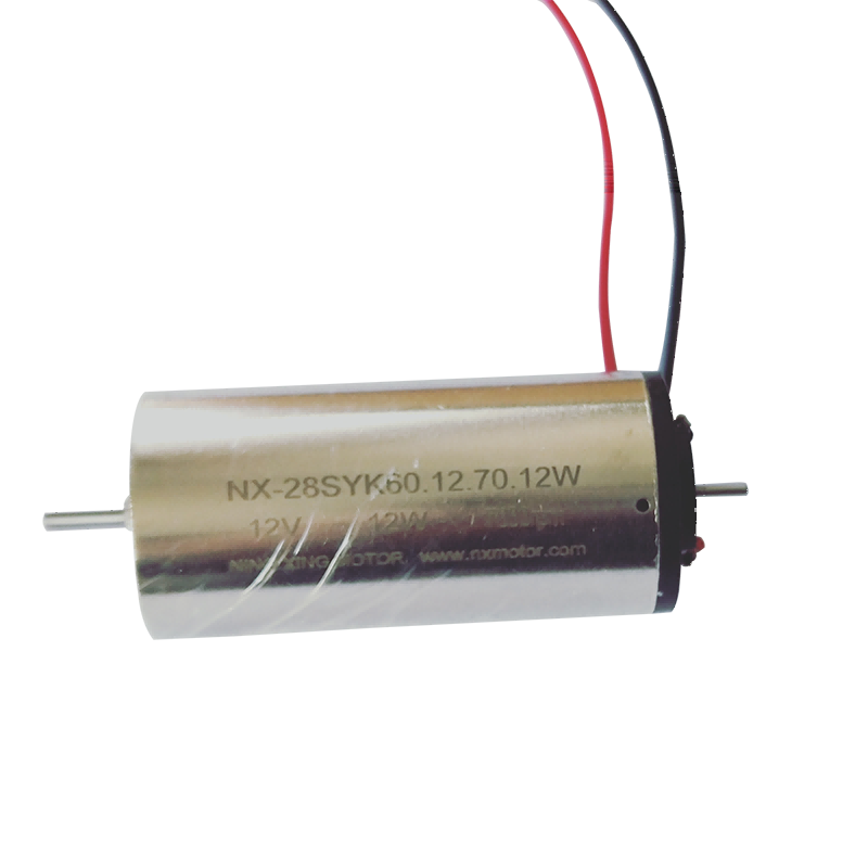 28mm Precious Metal Brush DC Motor